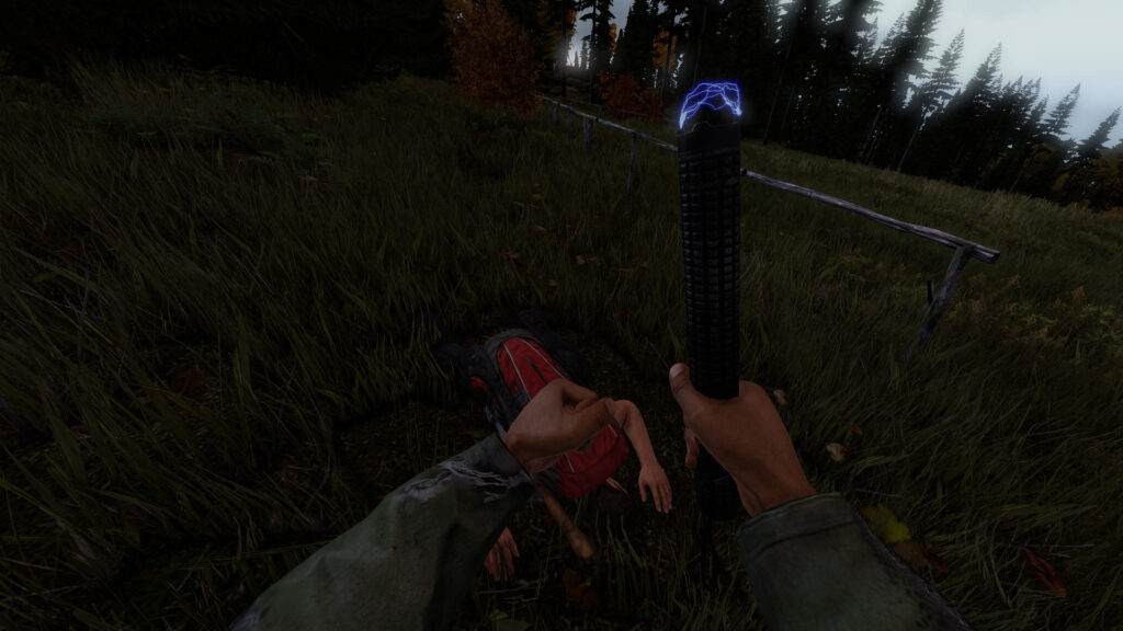 DayZ | Deluxe Edition (PC) – Steam Key – EUROPE – Galeriebild 2