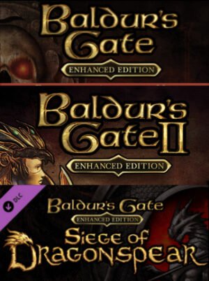 Baldur's Gate: The Complete Saga Steam Key GLOBAL