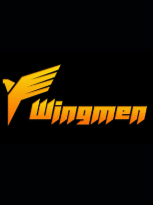 WingMen Steam Key GLOBAL