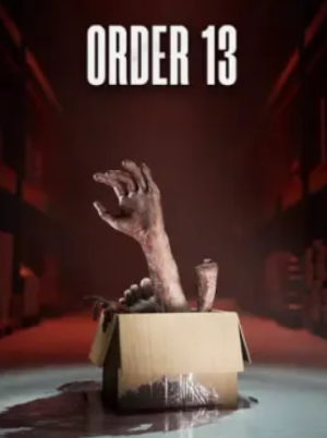 Order 13 (PC) - Steam Key - GLOBAL