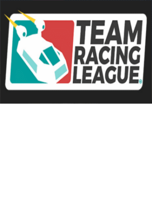 Team Racing League Steam Key GLOBAL