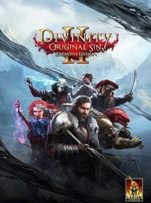 Divinity: Original Sin 2 | Definitive Edition (PC )- - EUROPE