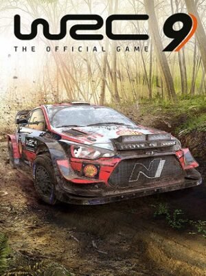 WRC 9 FIA World Rally Championship (PC) - Steam Key - EUROPE