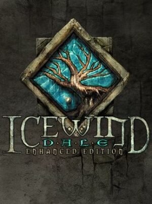 Icewind Dale: Enhanced Edition Steam Key GLOBAL