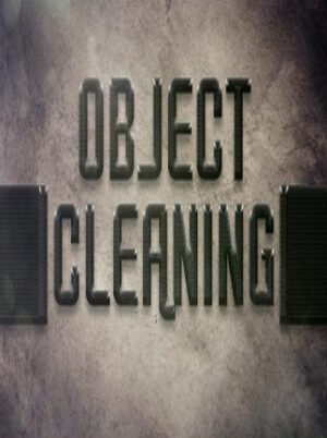 Object "Cleaning" Steam Key GLOBAL