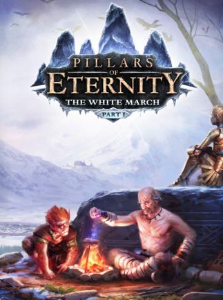 Pillars of Eternity – The White March Part I Key Steam GLOBAL – Titelbild