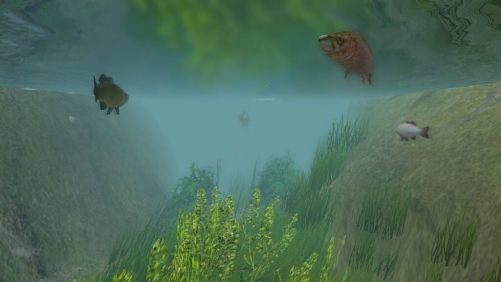 European Fishing Steam Key GLOBAL – Galeriebild 1