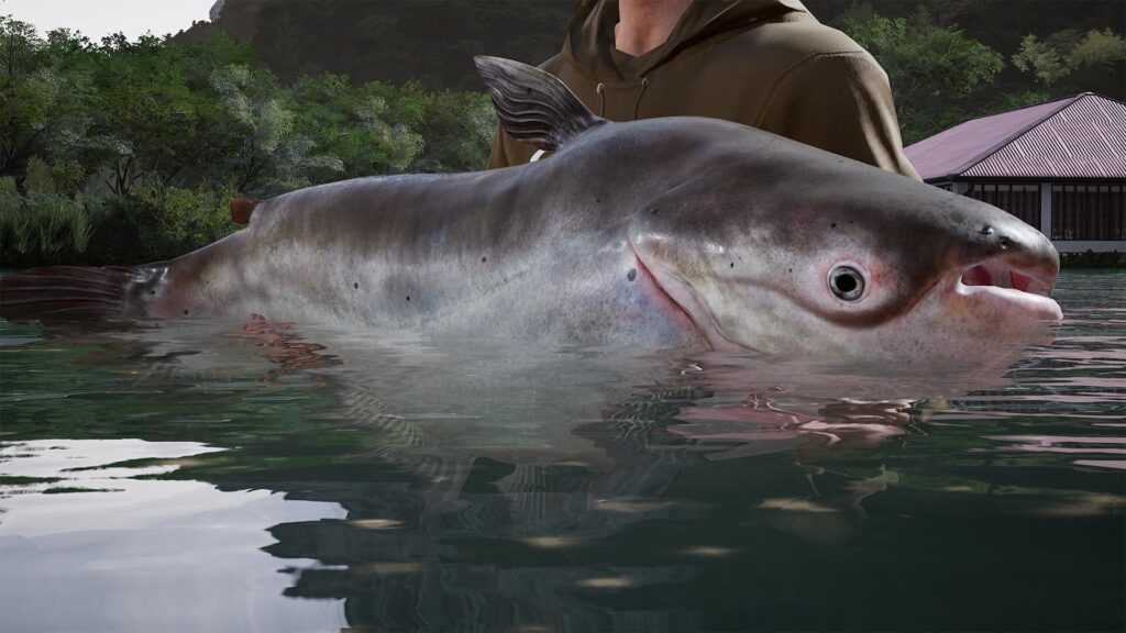 Fishing Sim World: Pro Tour – Giant Carp Pack (PC) – Steam Key – GLOBAL – Galeriebild 2