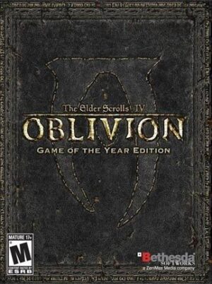 The Elder Scrolls IV: Oblivion Game of the Year Edition Steam Key GLOBAL