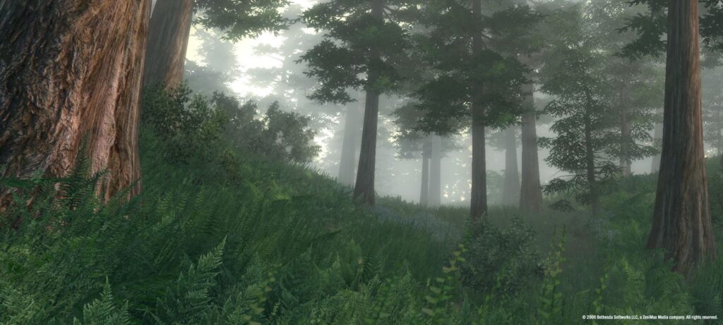 The Elder Scrolls IV: Oblivion Game of the Year Edition Steam Key GLOBAL – Galeriebild 1