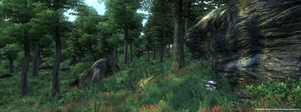 The Elder Scrolls IV: Oblivion Game of the Year Edition Steam Key GLOBAL – Galeriebild 2