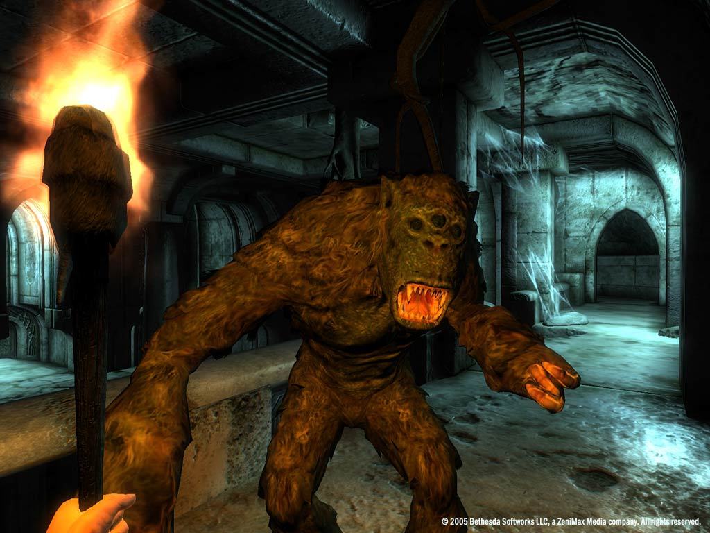 The Elder Scrolls IV: Oblivion Game of the Year Edition Deluxe (PC) – Steam Key – EU – Galeriebild 1