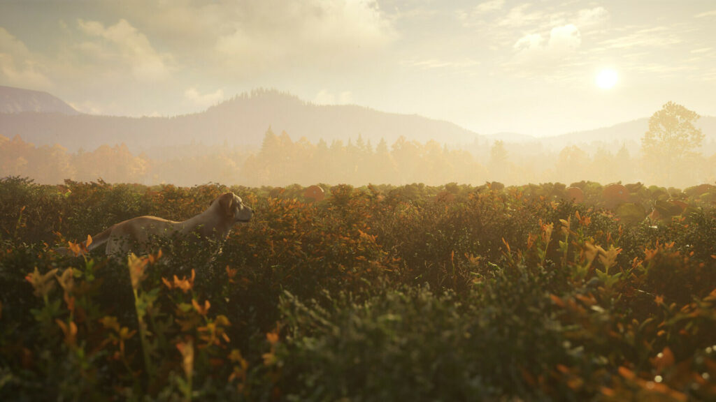 theHunter: Call of the Wild – Labrador Retriever (PC) – Steam Key – EU – Galeriebild 1