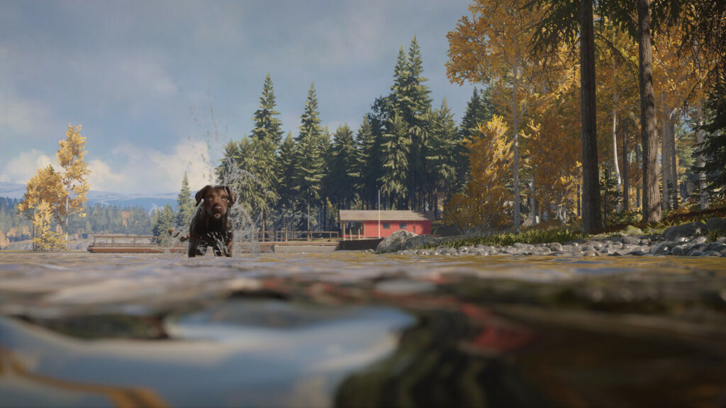 theHunter: Call of the Wild – Labrador Retriever (PC) – Steam Key – EU – Galeriebild 2