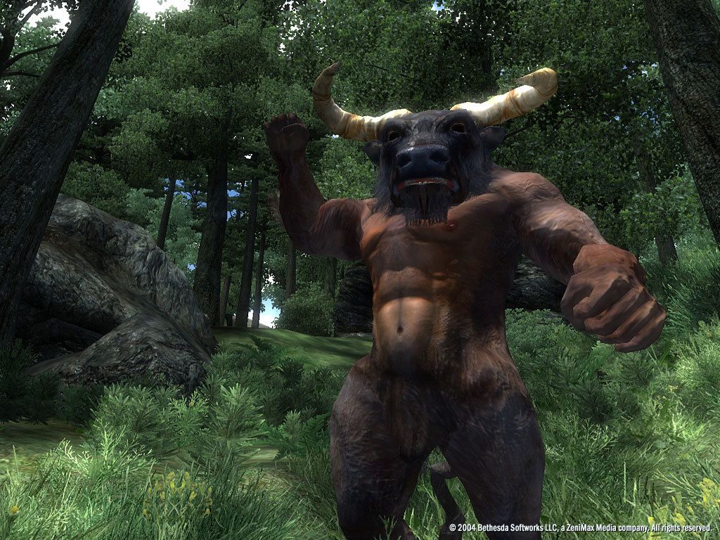 The Elder Scrolls IV: Oblivion GOTY Steam Key EUROPE – Galeriebild 2