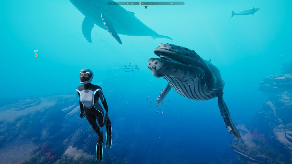 Beyond Blue (PC) – Steam Key – GLOBAL – Galeriebild 1