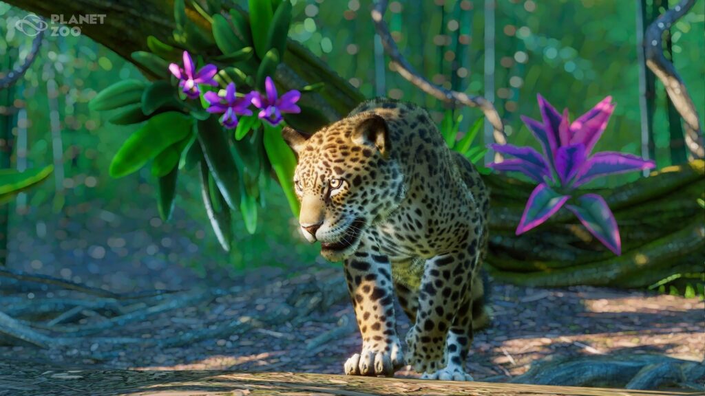 Planet Zoo: South America Pack (PC) – Steam Key – EUROPE – Galeriebild 2